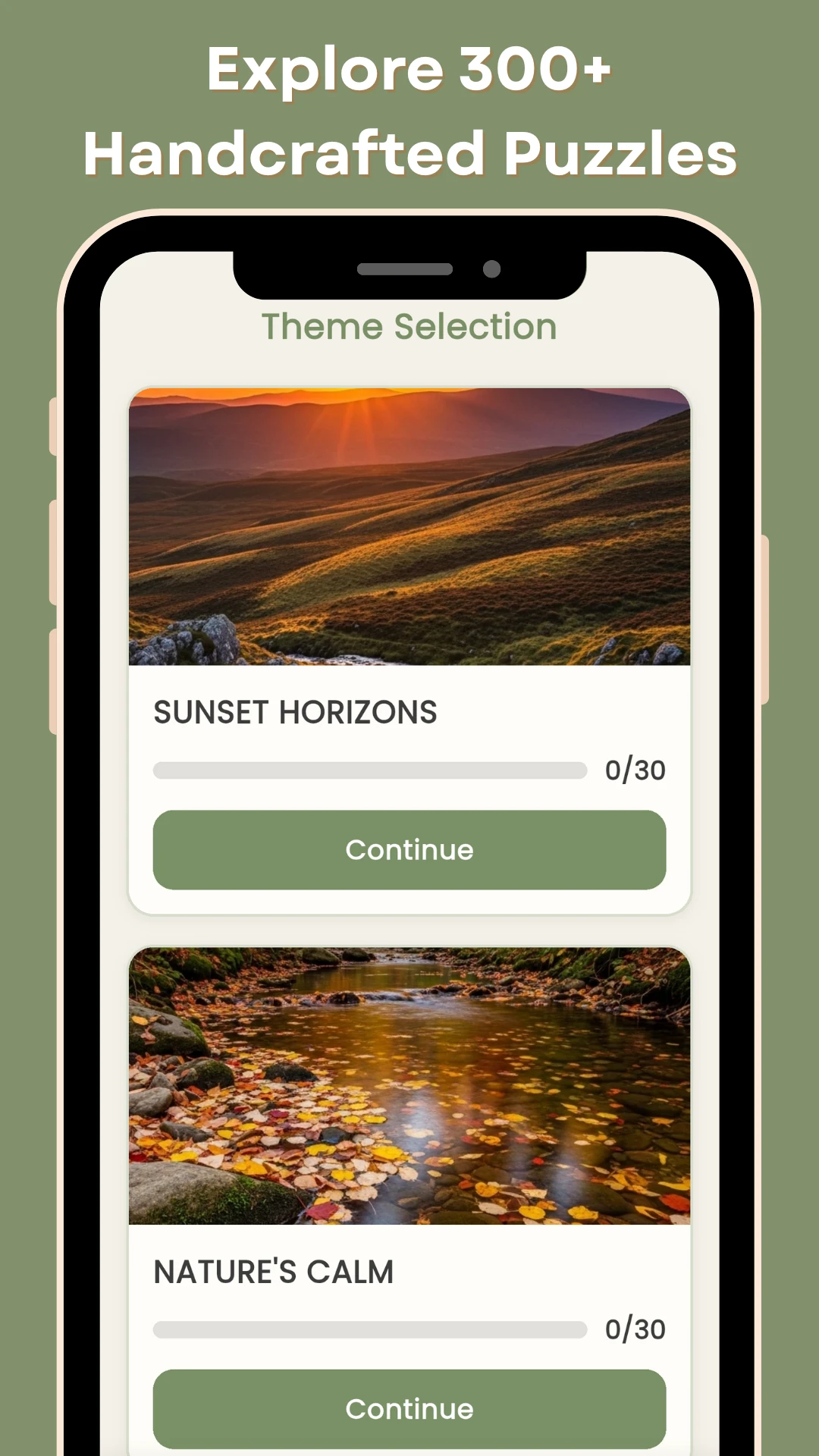 Pictura Main Experience